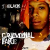 Criminal Fake Instrumental