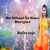 About Na Dihani Ta Kare Bariyari Song
