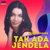 About Tak Ada Jendela Song