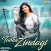About Tanha Zindagi Song
