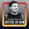 About Destul de bun Song