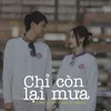 About Chỉ Còn Lại Mưa Slowed Ver Song