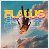 About Flaws Song