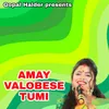 About AMAY VALOBESE TUMI Song