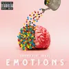 About Emotions Song