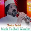 About Maula Ya Sholli Wasallim Song