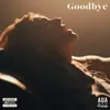 About Goodbye Video Edit Song