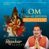 Om Namah Shivaya NonStop