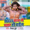 About Reels Wala Se Pyar Ho Gayil Song