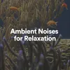 Ambient Noises for Relaxation, Pt. 3