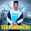 About Teri Shangri Song