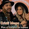 About Pur si simplu te iubesc Song