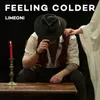 About Feeling Colder Song