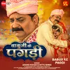 About Babuji Ke Pagdi Song