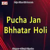 About Pucha Jan Bhhatar Holi Song