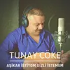 About Aşikar İstiyom Gizli İstemem Song