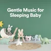 About Repeatable Sounds for Sleep Song