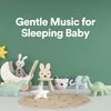 Baby Sounds for Sleep