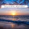 About Invisible Wonder Song