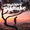 About Nakhara Dikhake Song