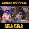 About Neagra Song