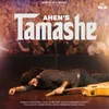 About Tamashe Song
