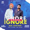 About Ignore Song