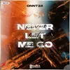 About Never Let Me Go Song