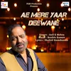 About Ae Mere Yaar Deewane Song