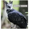 About Harpie Riddim Song