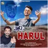 Dj Harul