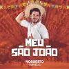 About Meu São João Song