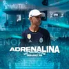 About Adrenalina Song