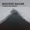 La droite maladroite