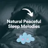 About Natural Peaceful Sleep Melodies, Pt. 3 Song