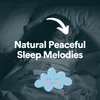 About Natural Peaceful Sleep Melodies, Pt. 18 Song