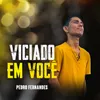 About Viciado em Você Song