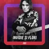 About Invidie și flori Song