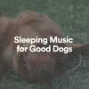 Sleeping Music for Good Dogs, Pt. 1