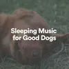 Sleeping Music for Good Dogs, Pt. 3