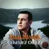 About Çekemez Oldum Song