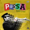 About Parsa Song