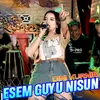About Esem Guyu Nisun Koplo Version Song
