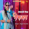 About Marwadi Song Mashup Song