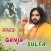 About Ganja Aur Sulfa Song
