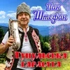 About Гуцульська гармата Song