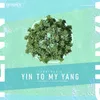 About Yin To My Yang Song