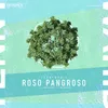 About Roso Pangroso Song