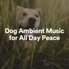 Dog Ambient Music for All Day Peace, Pt. 3