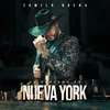 About Un parcero en Nueva York Song